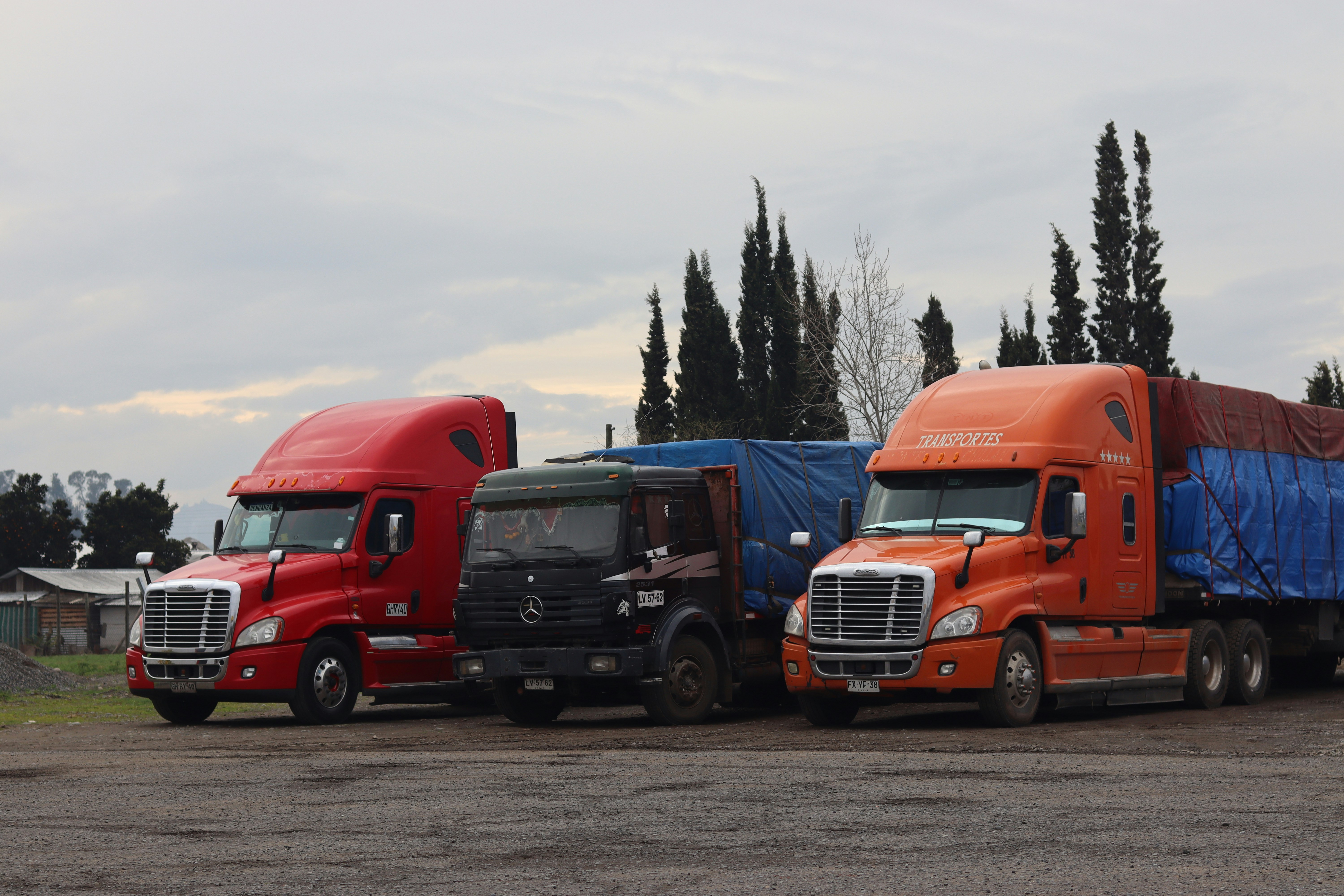 Transporte terrestre